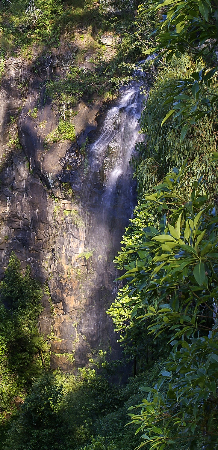 water fall, falls, rock, cliff, steep, green, subtropical