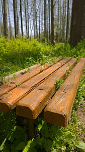 gozd, leseni stol, travinje