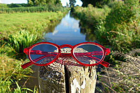 briller, briller, briller, visjon, optisk, øye, Sommer