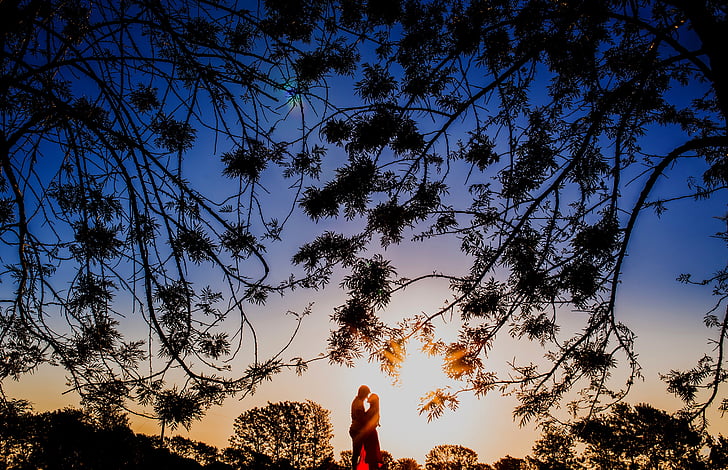 мъж, жена, целуване, близо до, дървета, Златни, час