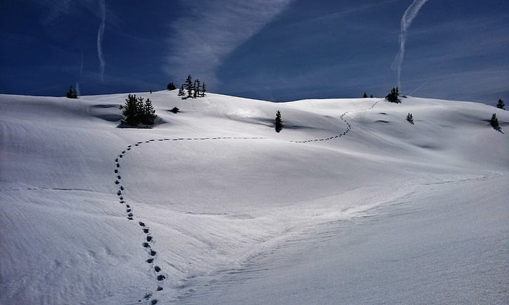cold, footprints, frozen, landscape, mountain, pine, sky