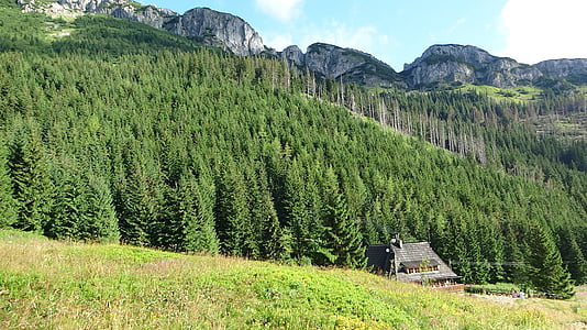 Tatrai, kalnai, Lenkija, kraštovaizdžio, Aukštuosiuose Tatruose