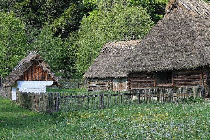 Polen, friluftsmuseum, landsbyen, arkitektur, museet, hytte, gamle