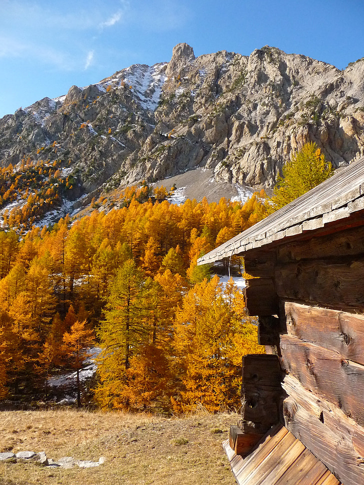 Gunung, Queyras, Chalet, musim gugur, Alpen, alam, pemandangan musim gugur