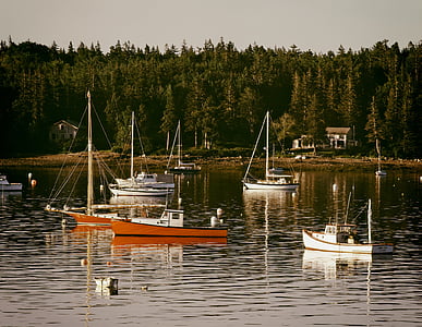 Maine, havn, Bay, båter, skip, skog, trær