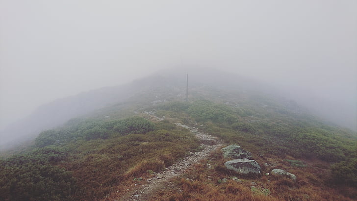 hike, mist, hiking, landscape, fog, nature, scenery