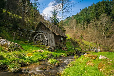 mill, black forest, bach, water, forest, landscape, trees