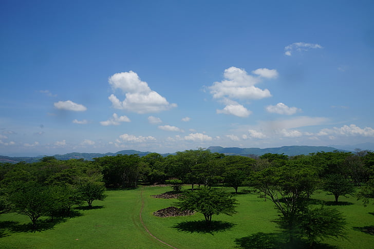 forest, landscape, clouds, sky, trees, nature