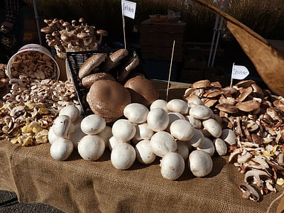 Фермерский рынок, свежий, спелый, грибы, Бакалея, продукты, ферма