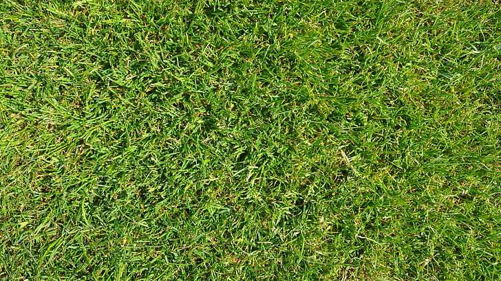 trawa, zielony, Piłka nożna, boisko do piłki nożnej, tło, tekstury, gazongras