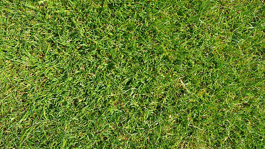 Grass, Grün, Fußball, Fußballplatz, Hintergrund, Textur, gazongras