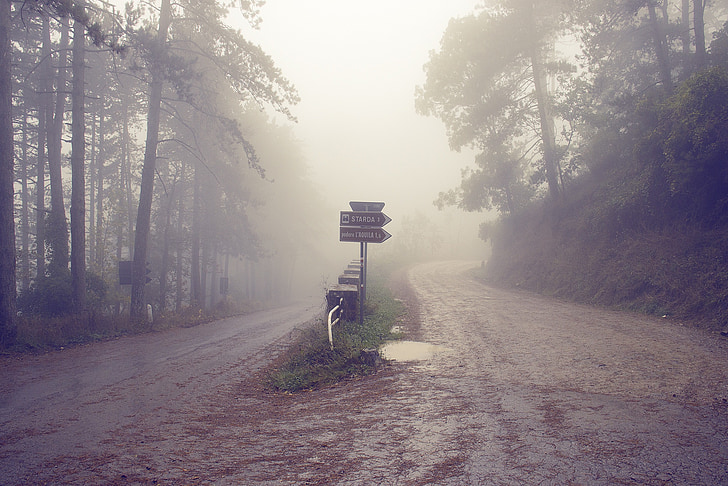italy, tuscany, road, fog, misty, autumn, foggy