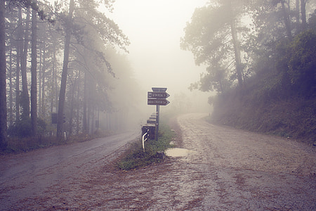 Italia, Toscana, strada, nebbia, nebbioso, autunno, nebbioso
