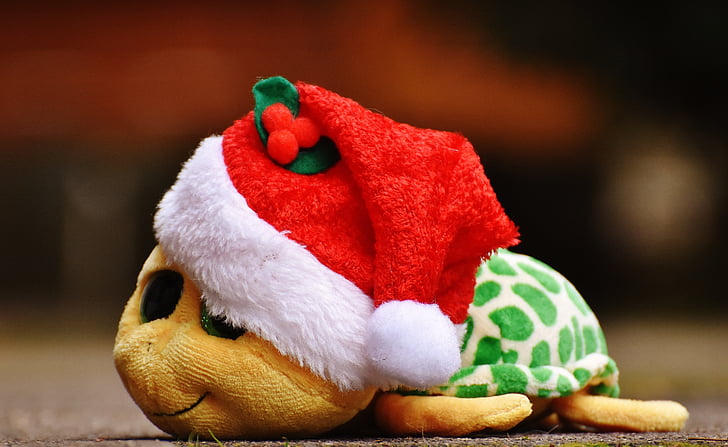 Kalėdos, vėžlys, iškamša, Minkštasis žaislas, Santa skrybėlę, Žaislai, mielas
