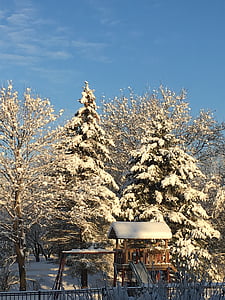зимни, сняг, сезон, студено, декември, дърво, Открит
