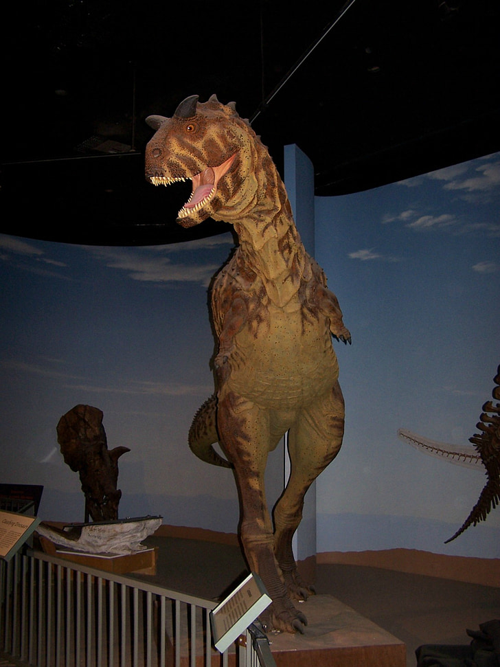 dinosaurus, Muzeum, model, paleontologie, vyhynulý, prehistorický