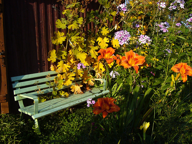 봄 양 귀 비, 옥 잠 화, 나비, 곤충, 꽃, 자연, 꽃
