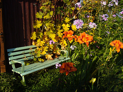 kevään unikko, Daylily, perhonen, hyönteinen, kukka, Luonto, kukat