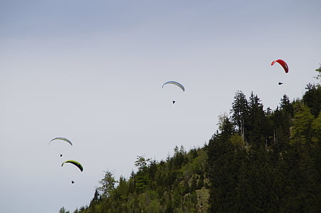 paracaigudes, paracaigudista, paracaigudisme, Campionat, bavarès, cel, blau