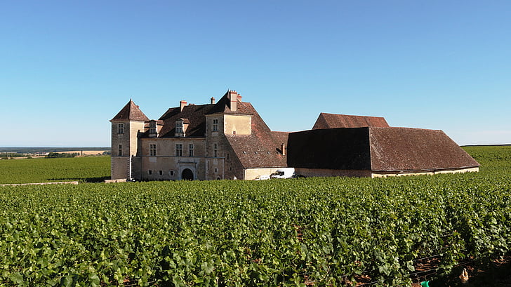 Château de Closen de vougeot, Burgundy, Frankrike, blå, Sky, slott, vin