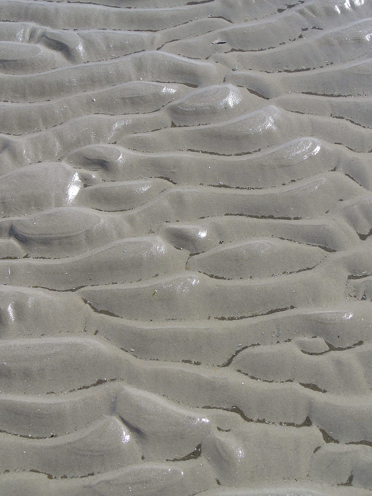 Βόρεια θάλασσα, στη θάλασσα Wadden, Άμμος, παραλία, Ενοικιαζόμενα