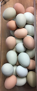 Eiern, Bauernhof, frisch