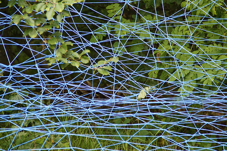 network, blue, branches, lavizzara, entangled, tangle, structure