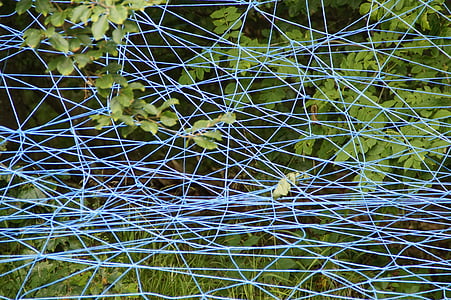 réseau, bleu, branches, Lavizzara, enchevêtrer, Tangle, structure