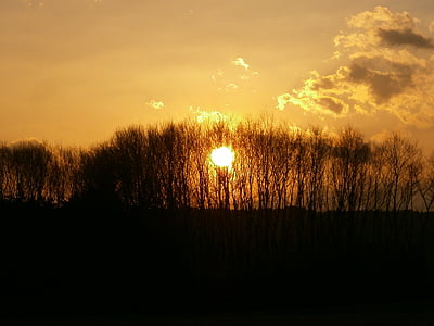 Hintergrund, 'Nabend, Sonnenuntergang, Wald
