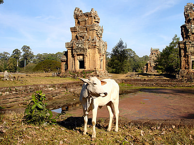 Angkor, Angkor wat, Camboja, velho, Templo de, ruína, religião