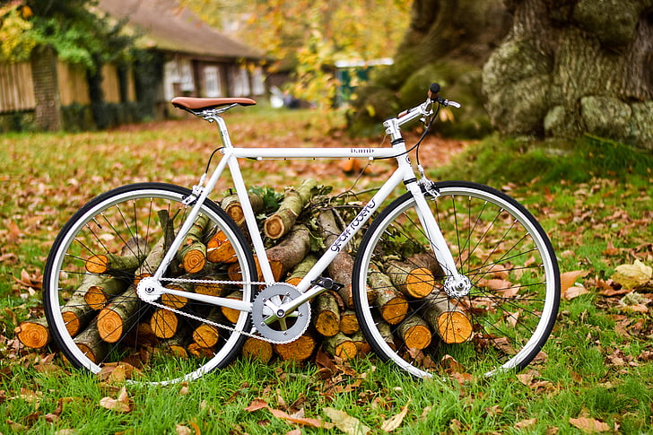 bike, bicycle, woods, log, green, grass, outdoor