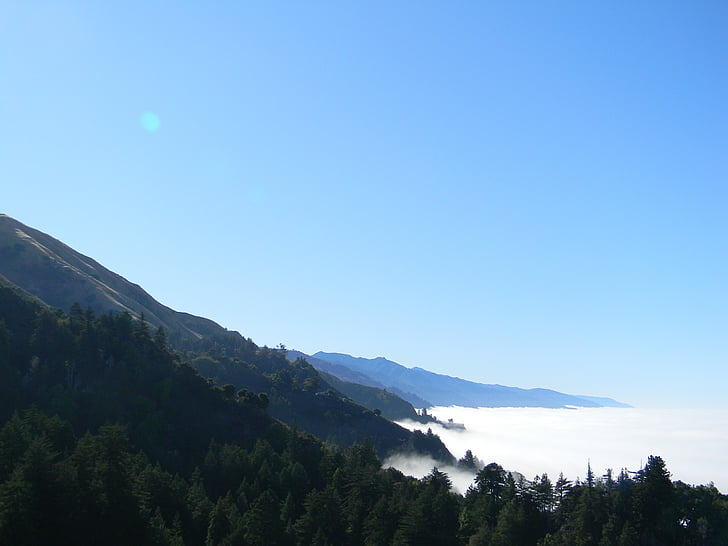 fog, lookout, scenic overlook, trees, sky, forest, mountains