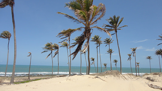 paplūdimys, Ceará, Brazilija