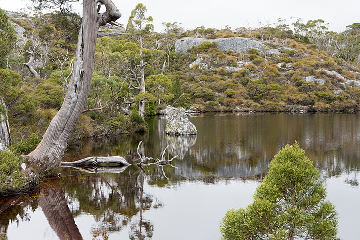 Wombat zwembad, Cradle mountain, Tasmanië, natuur, pittoreske, buitenshuis, landschap