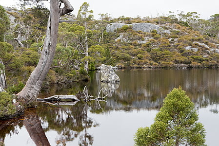 piscina di Wombat, montagna della culla, Tasmania, natura, pittoresca, tempo libero, paesaggio