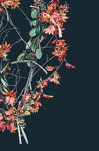 větev, světlé, detail, dekorace, na podzim, zahrada, růst