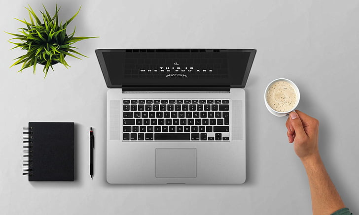 laptop, coffee, arm, man, plant, desktop, note pad