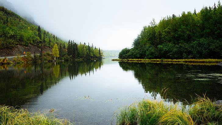 foggy, forest, lake, nature, river, sky, trees