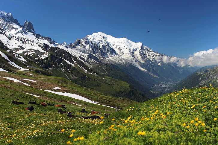 Mont blanc, turné mont blanc, Alpy, migrace, Treking, Hora, krajina