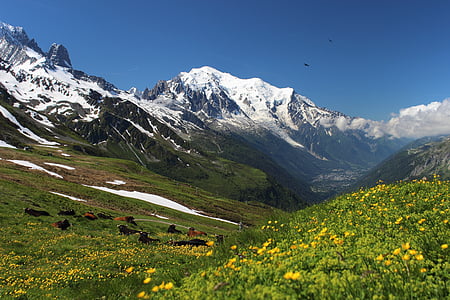 Mont blanc, Ronde van de mont blanc, Alpen, migratie, trekking, berg, landschap