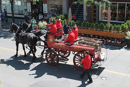 history, firefighter, truck, older vehicles, horses, rescuer, costume