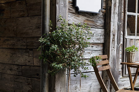 architecture, chair, house, plant, rustic, wood, wooden