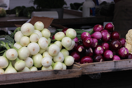 the onion, red onion, vegetarian