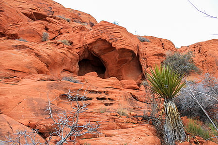 Utah, červené skaly, las vegas, červená, národné, Park, Desert