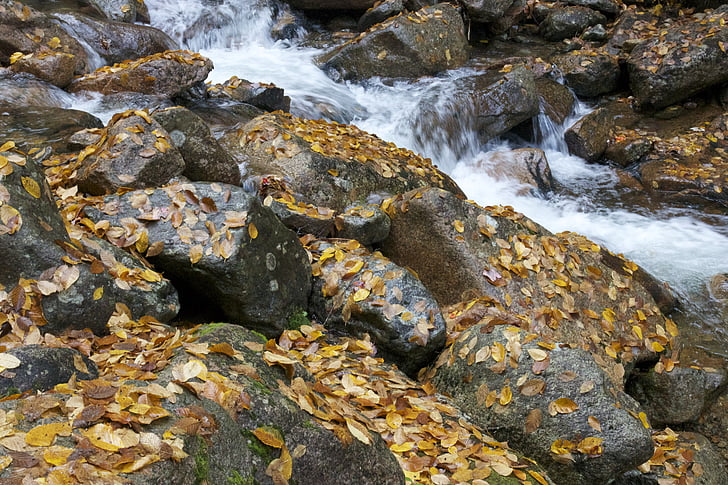 ősz, őszi, lombozat, sziklák, patak, természet, rock - objektum