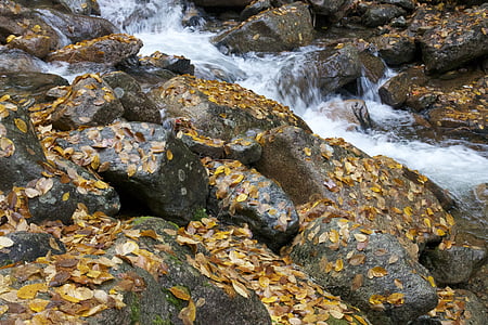 otoño, caída, follaje, rocas, corriente, naturaleza, Rock - objeto