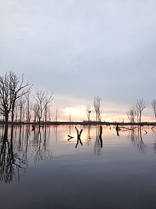 lake, canoeing, water, nature