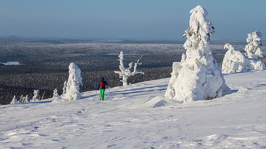kar ayakkabı kar ayakkabı çalıştırmak, Finlandiya, Lapland, Şube, Kış ruh hali, soğuk, Äkäslompolo