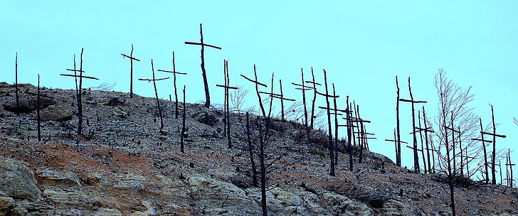 forest fire, burnt mountain, degradation, death, artistic crosses, firewood burned