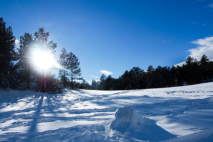 neu, viatges, Colorado, l'hivern, natura, muntanya, bosc